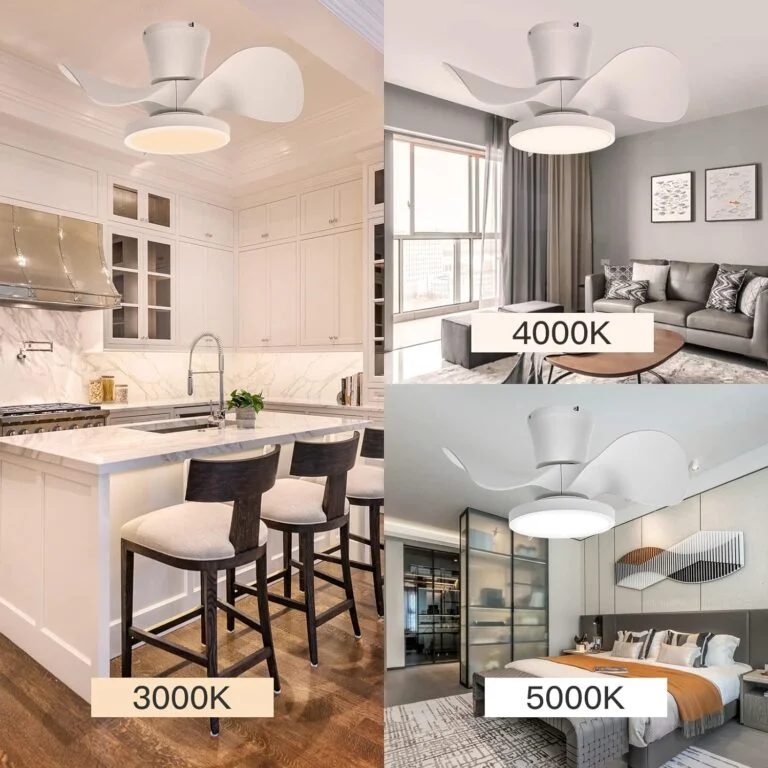 TALOYA Ceiling Fan Review